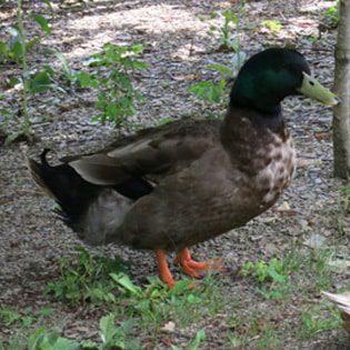 locationcamping img 3