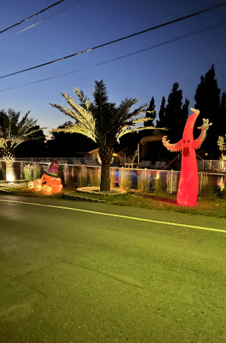 Camping Des Aulnaies - Activités